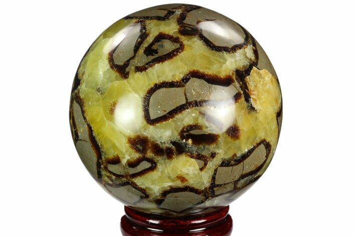 Polished Septarian Sphere - Madagascar #122935
